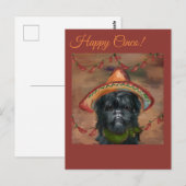 Carte Postale Affenpinscher (Devant / Derrière)