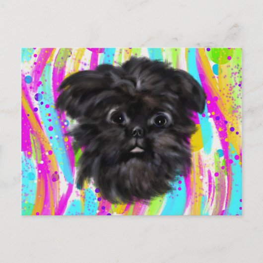 Carte Postale Affenpinscher (Devant)