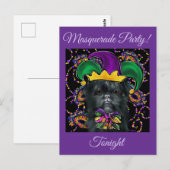 Carte Postale Affenpinscher (Devant / Derrière)