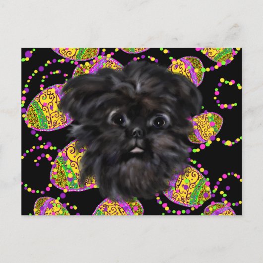 Carte Postale Affenpinscher (Devant)