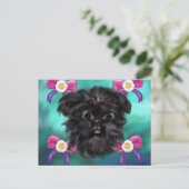 Carte Postale Affenpinscher (Debout devant)