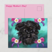 Carte Postale Affenpinscher (Devant / Derrière)