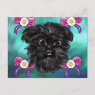 Carte Postale Affenpinscher