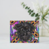 Carte Postale Affenpinscher (Debout devant)