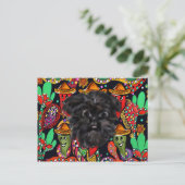 Carte Postale Affenpinscher (Debout devant)