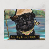 Carte Postale Affenpinscher (Devant)
