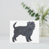 Carte Postale Affenpinscher (Debout devant)