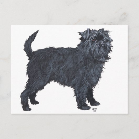Carte Postale Affenpinscher (Devant)