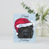 Carte Postale Affenpinscher  (Debout devant)
