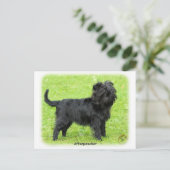 Carte Postale Affenpinscher 9R095D-093 (Debout devant)