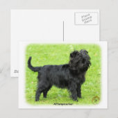 Carte Postale Affenpinscher 9R095D-093 (Devant / Derrière)