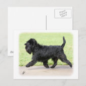 Carte Postale Affenpinscher 9Y516D-063 (Devant / Derrière)