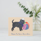 Carte Postale Affenpinscher à la plage (Debout devant)