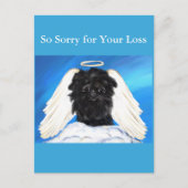 Carte Postale Affenpinscher Ange (Devant)