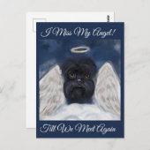 Carte Postale Affenpinscher Angel (Devant / Derrière)