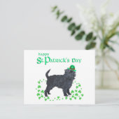 Carte Postale Affenpinscher Saint-Patrick (Debout devant)