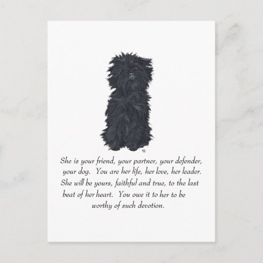 Carte Postale Affenpinscher Souvenir (Devant)