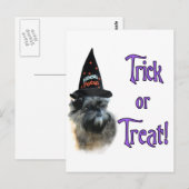 Carte Postale Affenpinscher Trick (Devant / Derrière)
