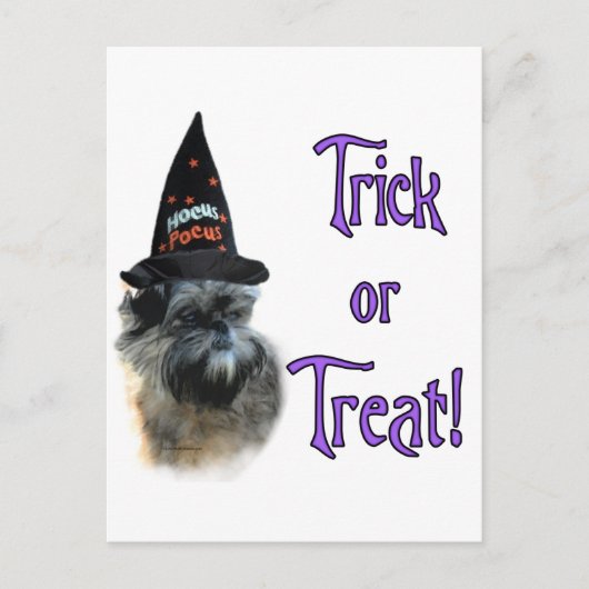 Carte Postale Affenpinscher Trick (Devant)