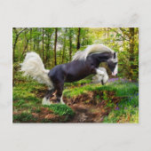 Carte Postale "Affichage" (Devant)