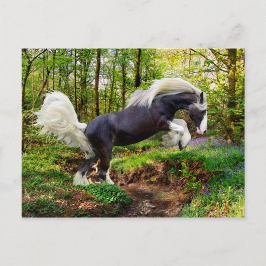 Carte Postale "Affichage" (Devant)