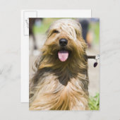 Carte Postale affichage de langue, cheveux longs, portrait (Devant / Derrière)