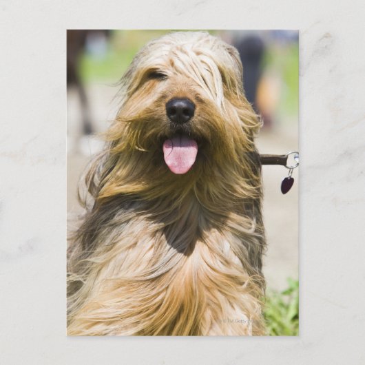 Carte Postale affichage de langue, cheveux longs, portrait (Devant)