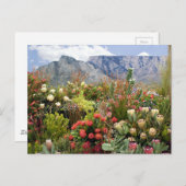 Carte Postale affichage floral sud-africain de fleurs sauvages (Devant / Derrière)