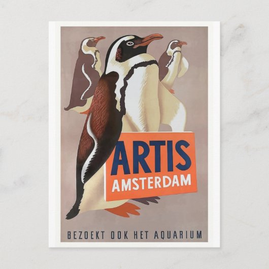 Carte Postale Affiche 1947 de pingouins d'Amsterdam de zoo (Devant)