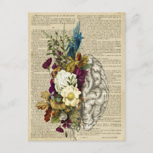 Carte Postale affiche d'anatomie du cerveau floral médical
