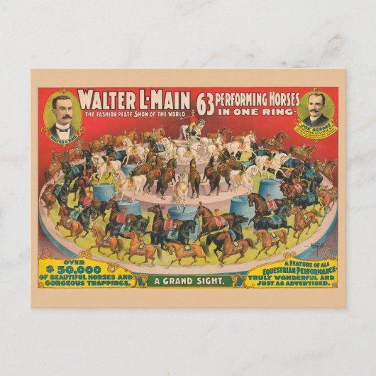 Carte Postale Affiche de cirque de 63 chevaux de spectacle dans  (Devant)