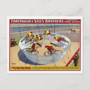 Carte Postale Affiche de cirque des sept Gaynells à vélo