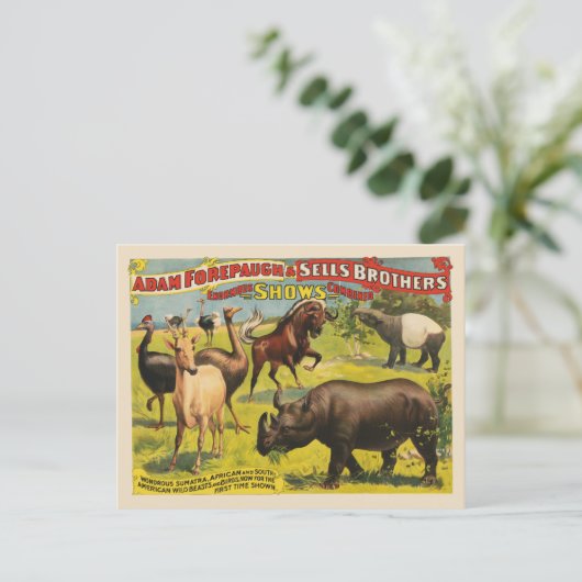 Carte Postale Affiche de cirque pour Adam Forepaugh & Sells Brot (Debout devant)