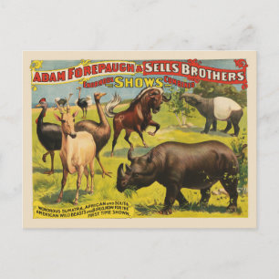 Carte Postale Affiche de cirque pour Adam Forepaugh & Sells Brot
