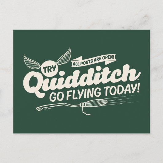 Carte Postale Affiche de recrutement de QUIDDITCH™ (Devant)