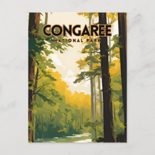 Carte Postale Affiche de voyage du parc national Congaree