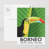 Carte Postale Affiche de voyage Toucan de Bornéo (Devant / Derrière)