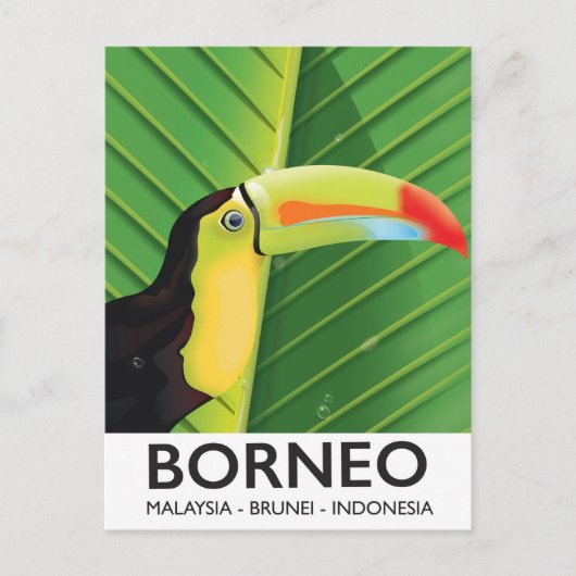 Carte Postale Affiche de voyage Toucan de Bornéo (Devant)