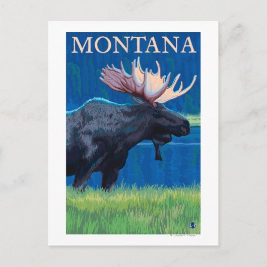 Carte Postale Affiche de voyage vintage MontanaMoose (Devant)