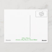 Carte Postale Affiche du roi australien Parrot (Dos)