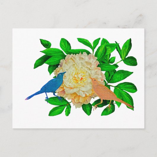 Carte Postale Affiche Oiseaux et fleurs (Devant)