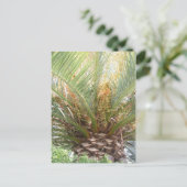 Carte Postale Affiche Palmier Ananas (Debout devant)