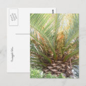 Carte Postale Affiche Palmier Ananas (Devant / Derrière)