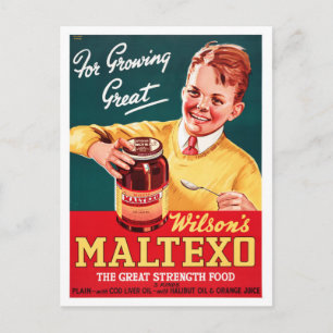 Carte Postale Affiche publicitaire Vintage en Nouvelle-Zélande