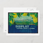 Carte Postale Afficher étiquette citron Ventura, CA (Devant / Derrière)