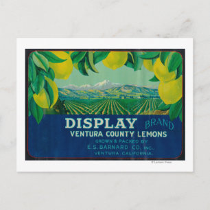Carte Postale Afficher étiquette citron Ventura, CA