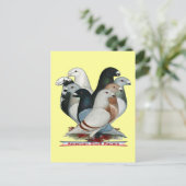 Carte Postale Afficher huit pilotes (Debout devant)