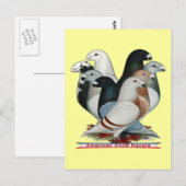 Carte Postale Afficher huit pilotes (Devant / Derrière)