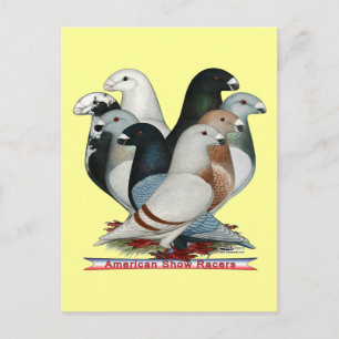 Carte Postale Afficher huit pilotes