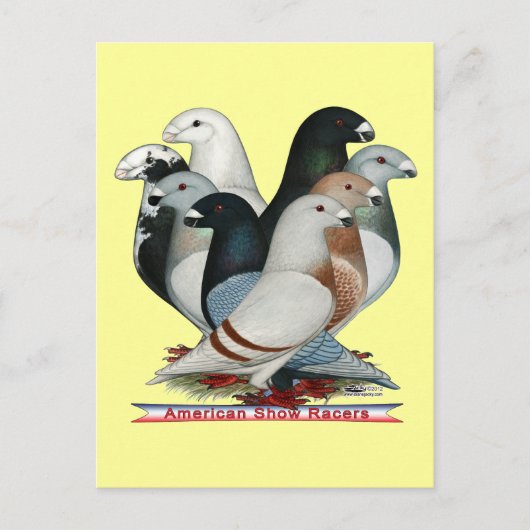 Carte Postale Afficher huit pilotes (Devant)